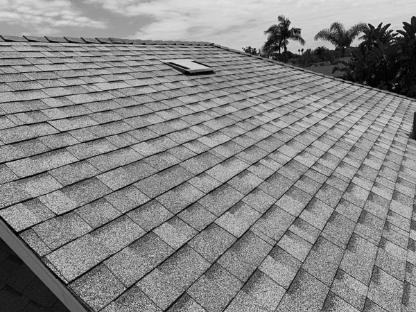 roof grayscal