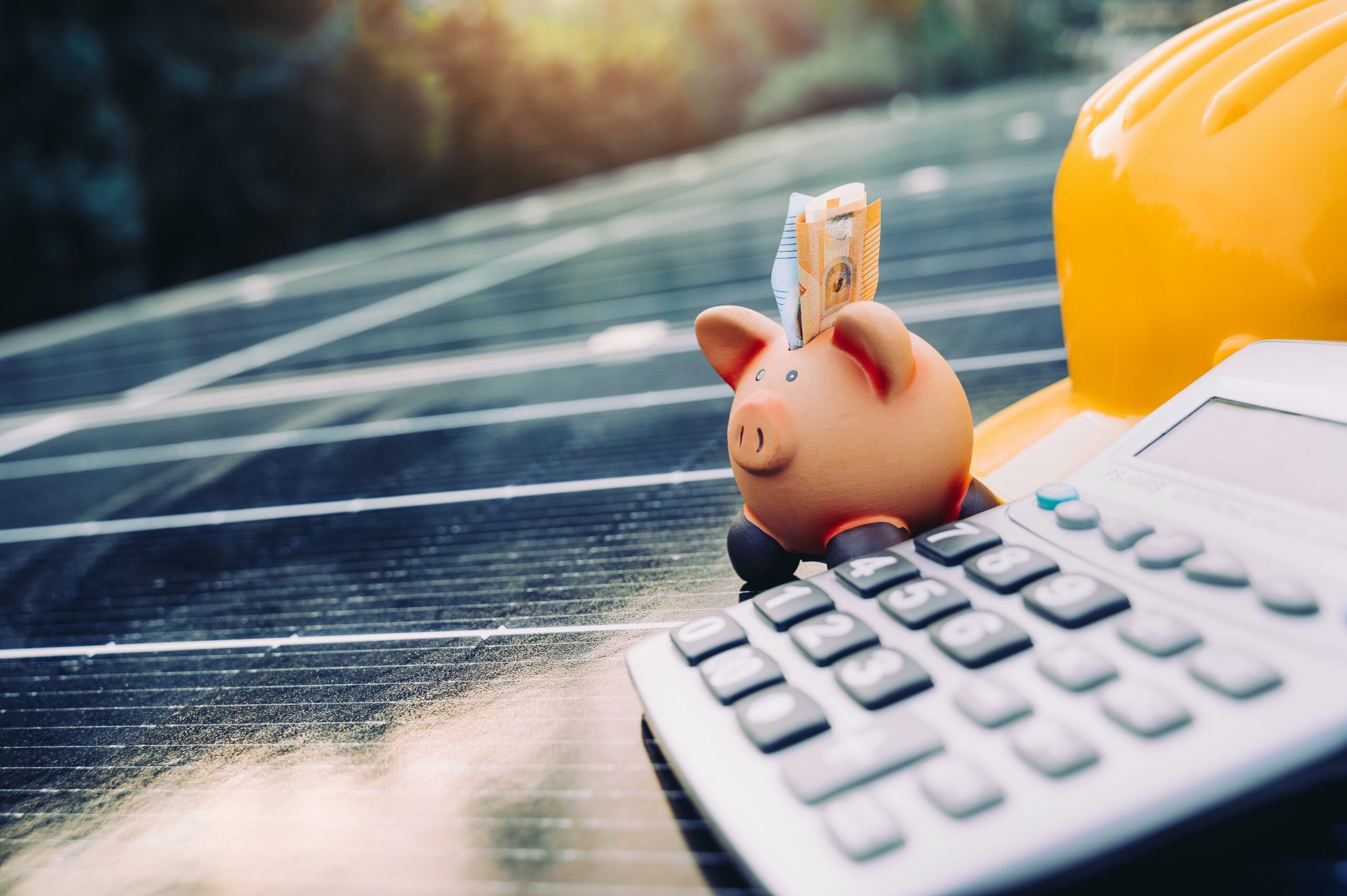 shutterstock 2249541121 scaled